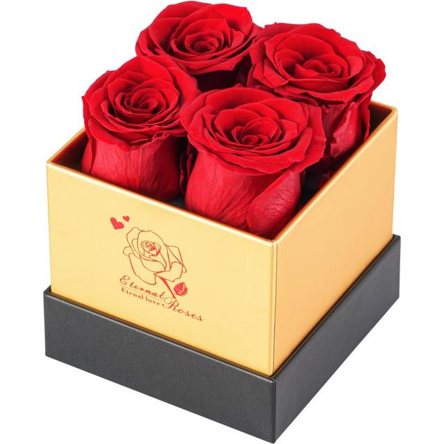 Ariceleo Preserved Rose in a Box - Forever Flower for Mother's Day, Birthday Gifts for Women, Mom, Girlfriend, Wife, Grandma - Eternal Red Roses,