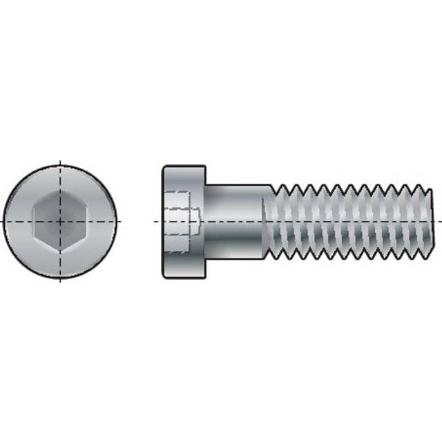 M20X40 Socket Low Head Cap Screw (GR-8.8) - Qualfast