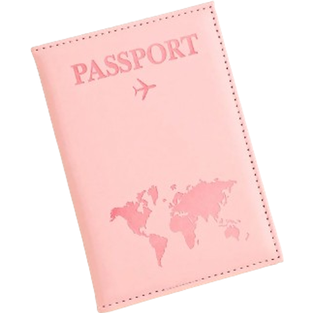 SHEIN 1pc Matte Finish Pu Material Travel Passport Cover With World Map & Letter Print And Fixed Design Passport Holder Passport Case Passport Wallet Passpo