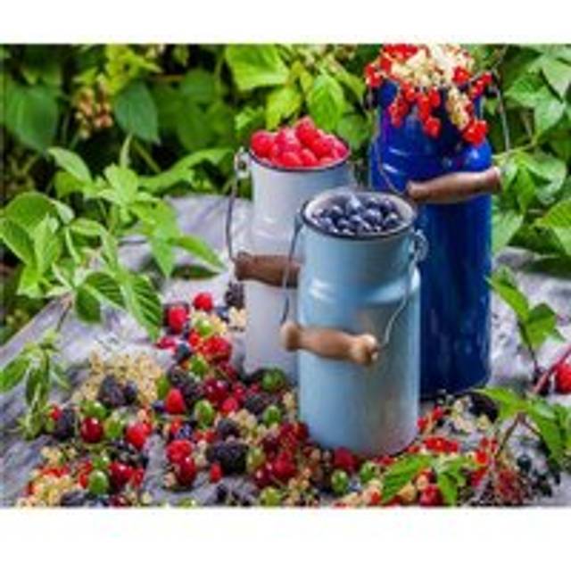 5D Diamond Painting Still life fruit Picture Of Rhinestones Mosaic DIY Diamond Embroidery 20X30CM