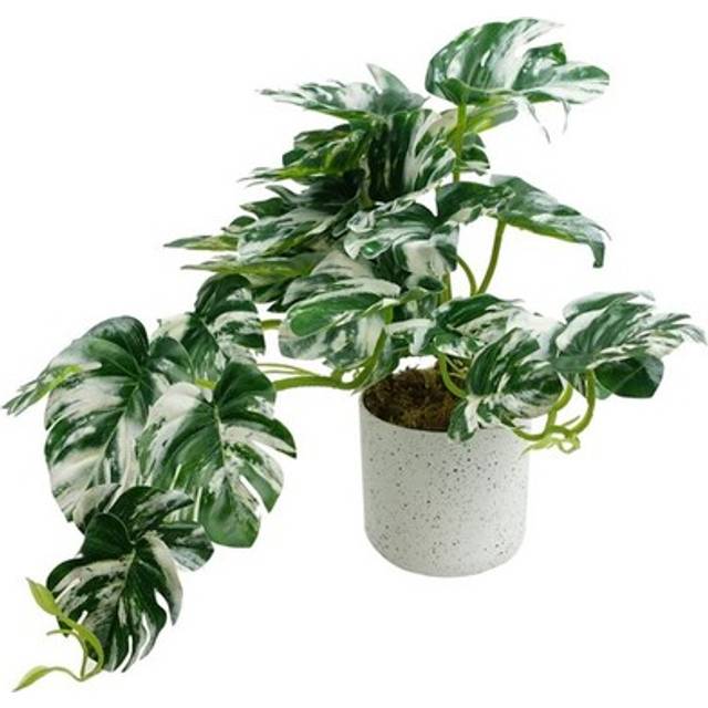 30cm Artificial Variegated Green Potted Monstera Trailing Plant