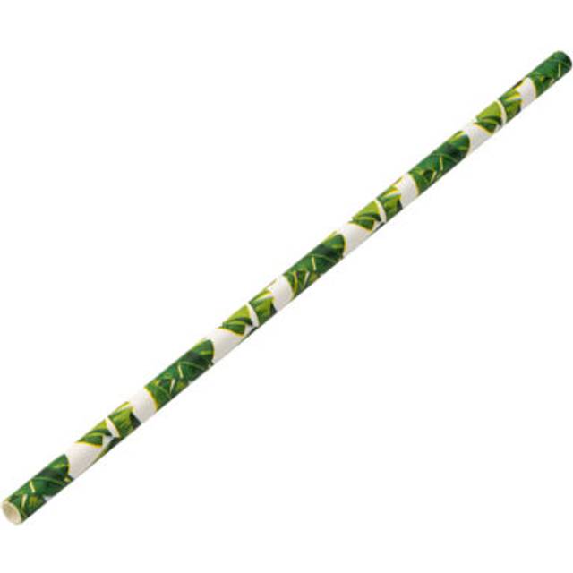 24 X Paper Tropical Straw Biodegradable Straws For Bar Pub 8 (20cm) Box Of 250
