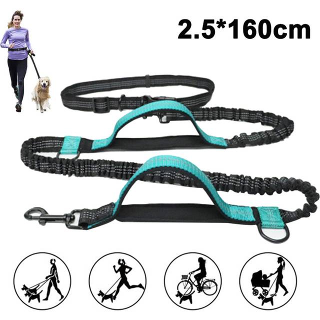 Dog Leash, Upgrade Hands-free Dog Leash with Two Bungees, Long Nylon Dog Leash-Grey + green