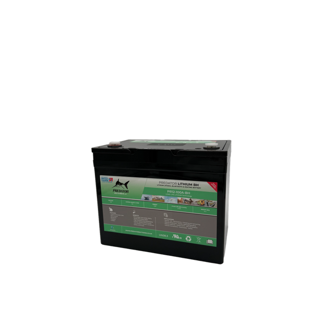 12v 100ah Leisure Lithium Battery with Bluetooth and Heating