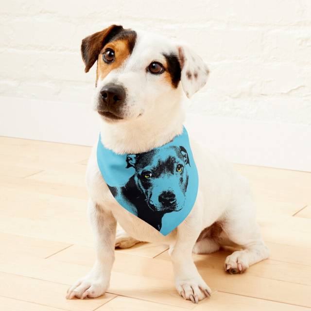(Blue Staffie Dog Design in Blue - Staffie Dog Pet Pop Art - Animal Pop Art, Bespoke Options=2152) 2-in-1 Pet Bandana Collar with Quick Release Buckle