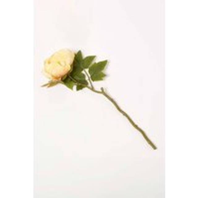 Homescapes Artificial Stem of Dried Yellow Peony Flowers, 48 cm