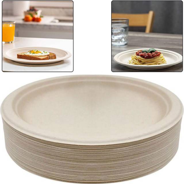 10inch 50PCS Compostable Plates Super Rigid Biodegradable Disposable Bagasse Plates Environmentally Friendly Wooden Plate Party