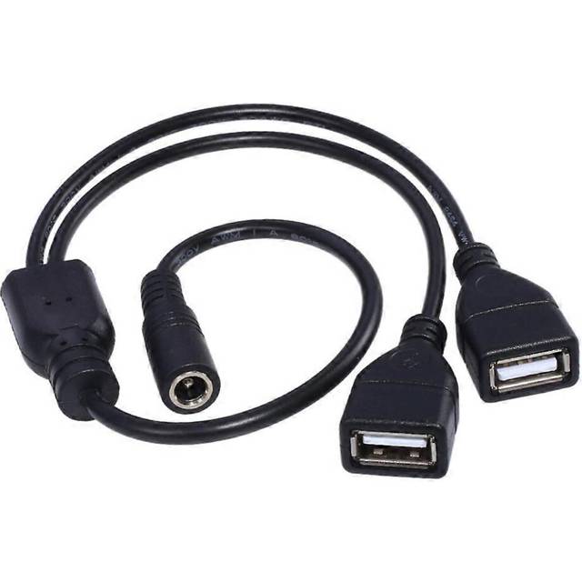 (As show, One size) DC 5.5X2.1mm Female to 2 USB Female DC Power Extension Adapter Charging Cable