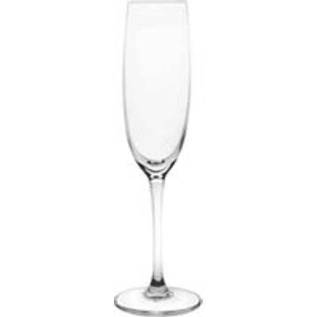 Olympia Novello Crystal Champagne Flutes 180ml (6 pack)