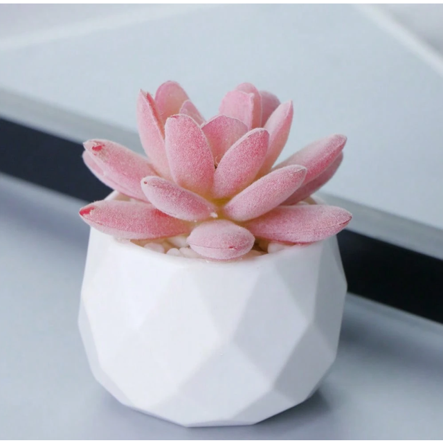 SHEIN Succulents Plants Artificial With Pot Small Fake Potted Plants Artificial Decor Pink Faux Plants For Living Room Bedroom Office Desk Bookshelf Bathroo