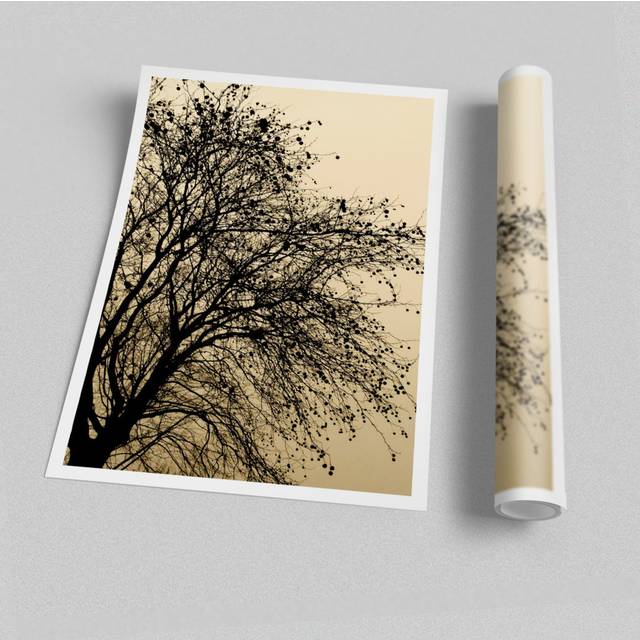 Chocolate Tree Flowers Print Poster - Graphic Art Print on Paper (42cm H x 59.4cm W)