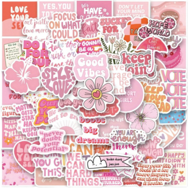 SHEIN 60PCS Pink Inspirational Stickers Vinyl Stickers Scrapbook, Journaling, Laptop, Bumper, Skateboard, Water Bottles, Computer, Phone, Cartoon, Hard Hat,