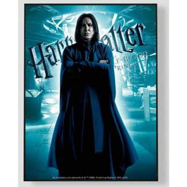SHEIN Figure Graphic Poster Very Suitable Family,Living Room, Bedroom, Office, Bathroom, Kitchen Decor, Suitable For Living Room, Bedroom And Dining Room