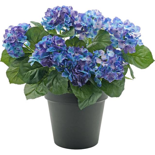 Premium Quality Artificial Blue Hydrangea Flower Bush in Black Pot (50cm) with Nine Flower Clusters