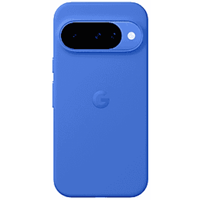 Google Pixel 10 / 10 Pro Phone Case