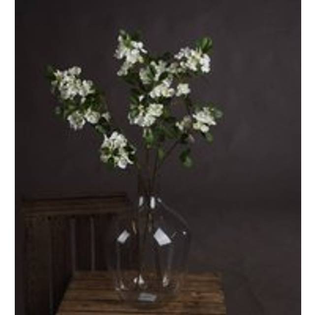 White Spring Mock Orange Flower