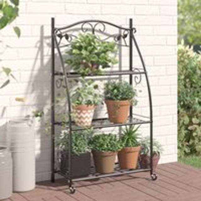 Flower Rack Black 56x30x96 cm Steel - One Size