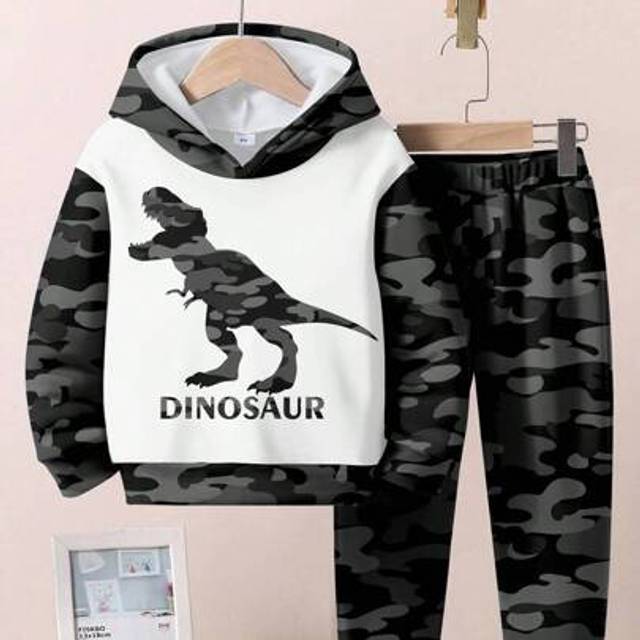 SHEIN Kids&#39; Multicolor Hooded Dinosaur Print Streetwear Outfit With Regular Length And Fit Boys Dinosaur Hoodie Boys Camo Hoodie Dinosaur Clothes Boys Kids