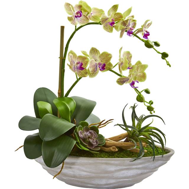 Nearly Natural Phalaenopsis Orchid and Succulent Artificial Arrangement in White Vase