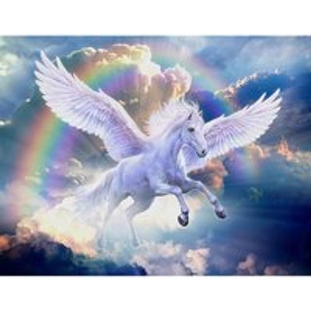 Diamond Embroidery White Pegasus Full Square/Round New Arrival 3D DIY Diamond Painting Clear Sky Picture of Rhinestone Wall Art Full Square (20X30CM)