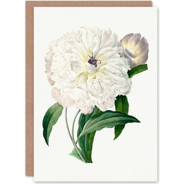 Pierre-joseph Redouté Art Card Vintage Peony Flower Illustration