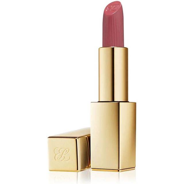 Estée Lauder Pure Color Matte Lipstick #669 Stolen Heart