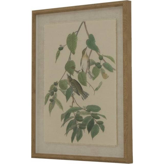 Flora & Fauna Collection Warblers on Linen in Beaded Frame - Glass - L2 x W40 x H50 cm - Brown