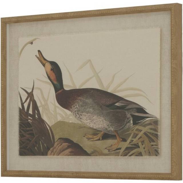 Flora & Fauna Collection Duck on Linen in Beaded Frame - Glass - L2 x W40 x H50 cm - Brown