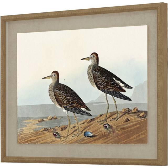 Flora & Fauna Collection Sandpipers on Linen in Beaded Frame - Glass - L2 x W40 x H50 cm - Brown