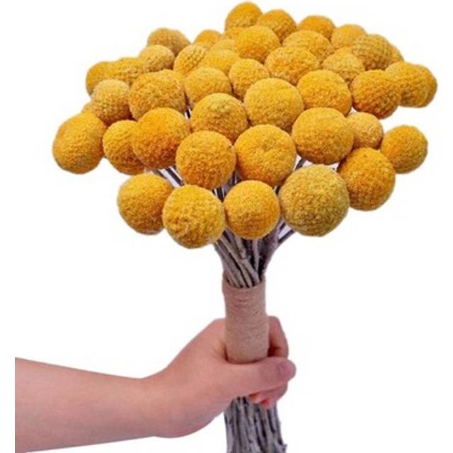 Natural Dried Flower Yellow Bouquet Bunch, Real Freshly Harvested Dried9728