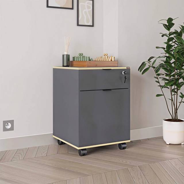 FWStyle Single Door Single Drawer Grey Mobile Storage Unit