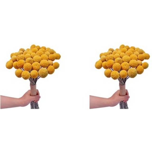 40x Natural Dried Flower Yellow Bouquet Bunch, Real Freshly Harvested2621