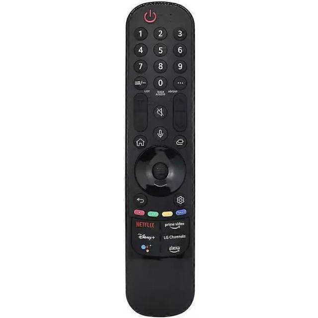 MR22GA Voice Magic Remote Control