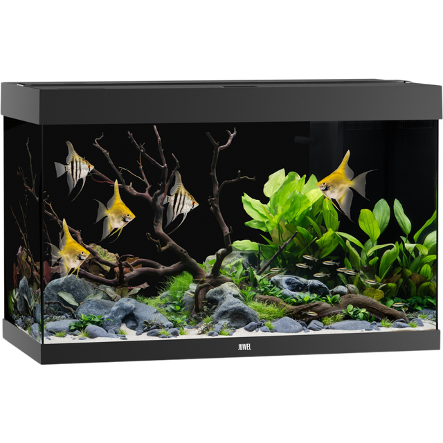 Juwel Rio 290 LED Sort