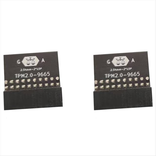 LPC 20Pin Protection Module for TPM-L R2.0 TPM2.0