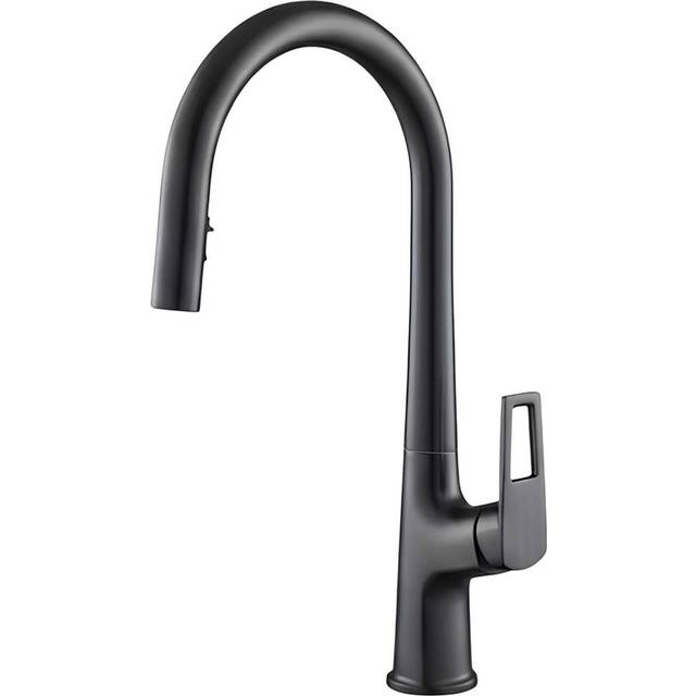 Avizar Extendable Dual-function Kitchen Faucet With High Spout