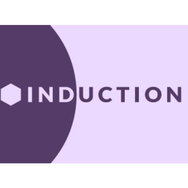 Induction PC Steam Key