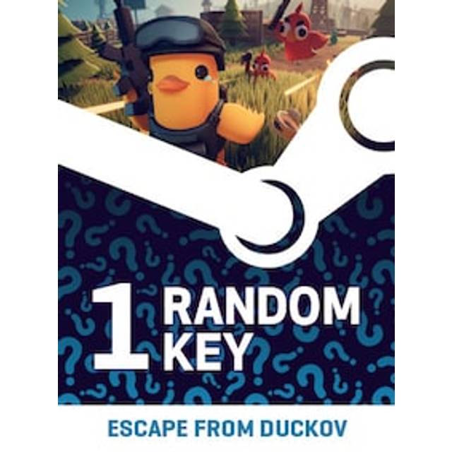Try to Get Escape Random 1 Key