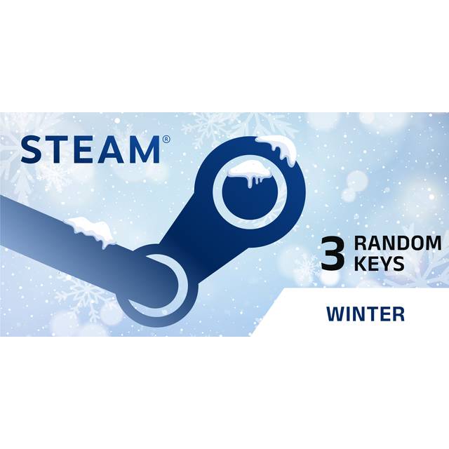 Random Winter 3 Keys PC Steam Key