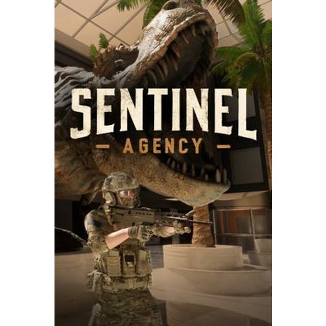 Sentinel Agency PC Steam CD Key