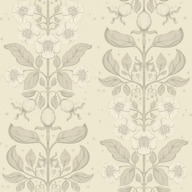 Midbec Rosa Beige