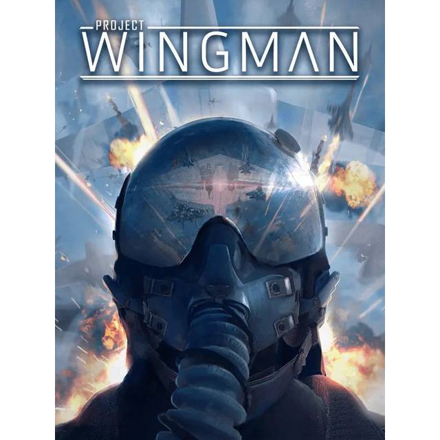 Project Wingman PC Steam Digital Code