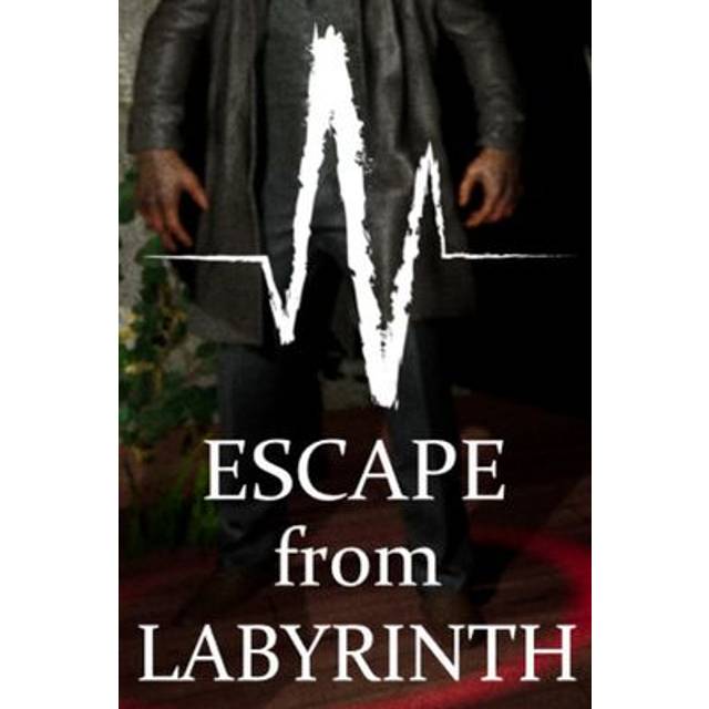 Escape From Labyrinth PC Steam Digital Code