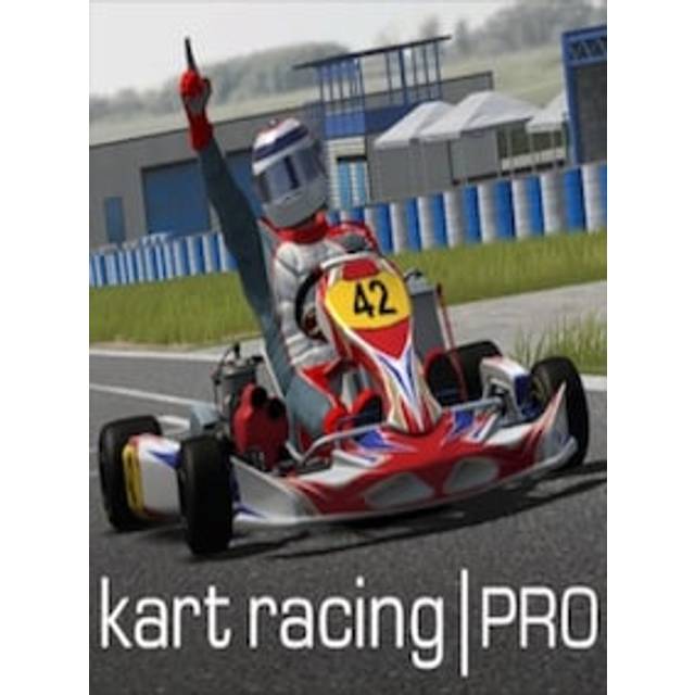 Kart Racing Pro PC Steam Gift