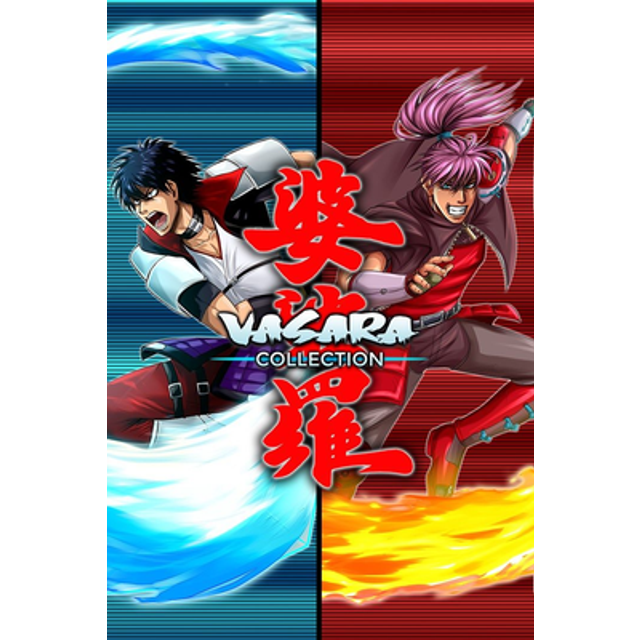 VASARA Collection PC Steam Key