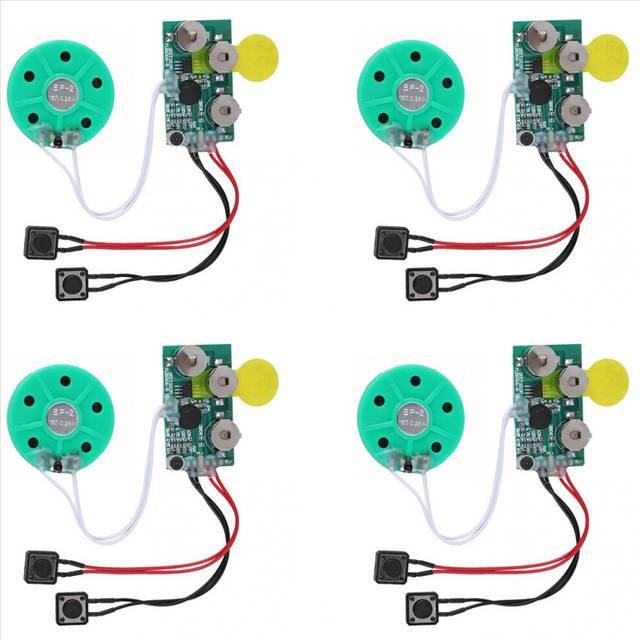 Typecat 4X DIY Voice Module Card