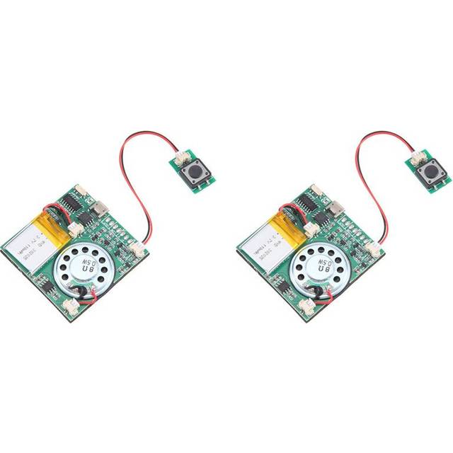 USB Recording Music Module 2X