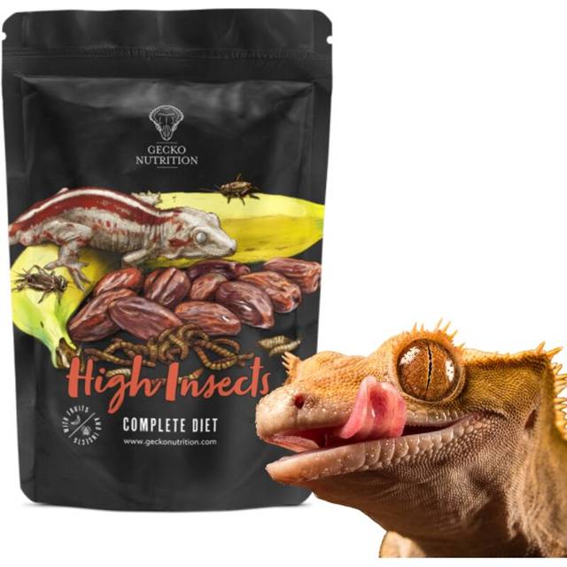 Gecko High Insects