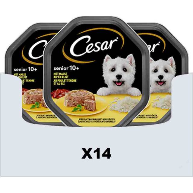 Cesar Senior 10+ Kylling Ris Gelé Vådfoder