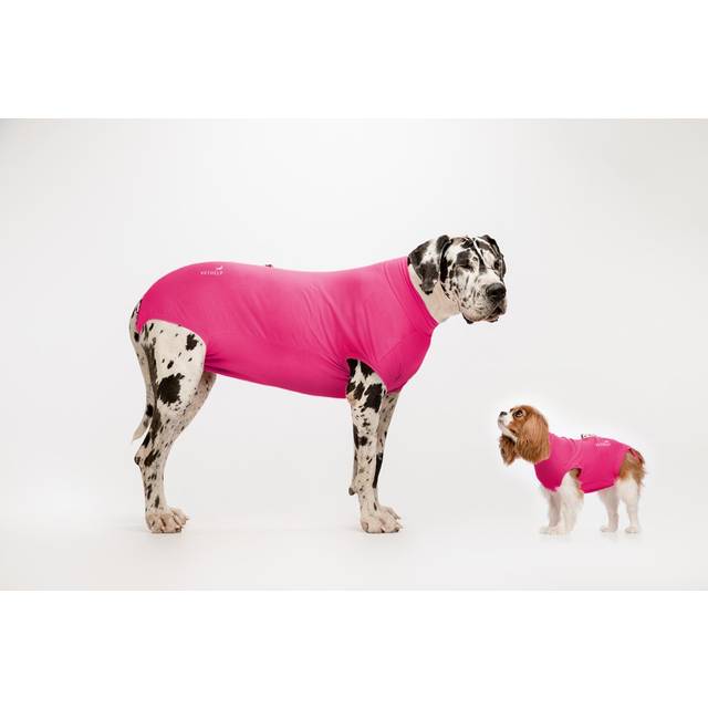 Operationsdragt VetHelp Recovery Suit Tæve - Rosa